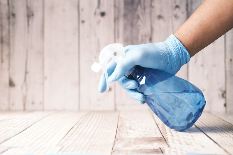 CleanChoice cleaner deep cleaning a Manhattan apartment kitchen counter